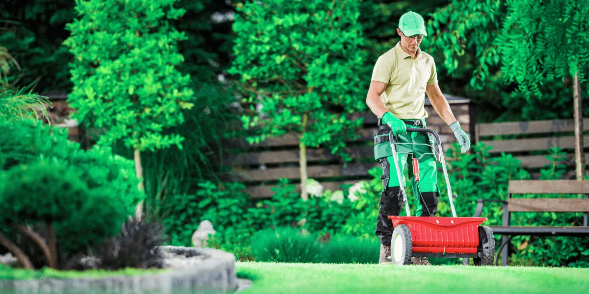 Landscaping Services