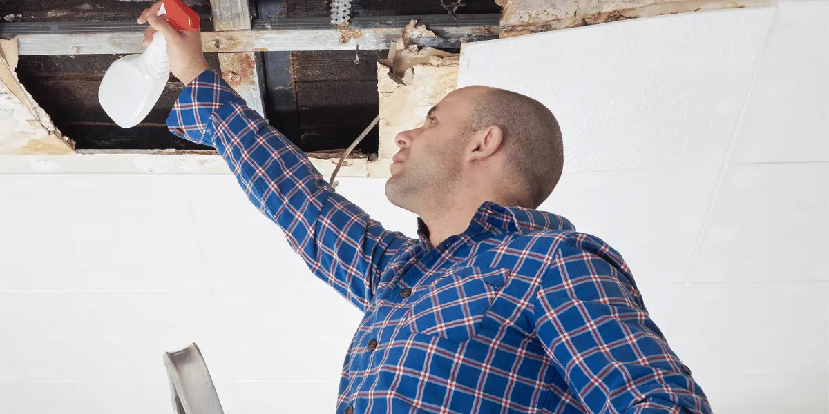 Mold Services