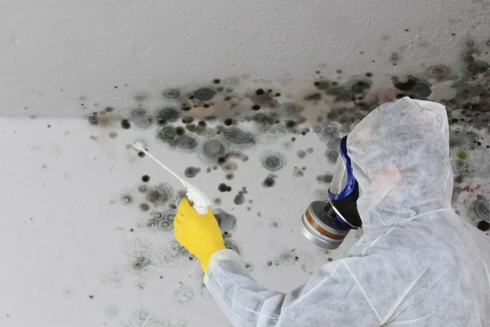Asbestos Removal